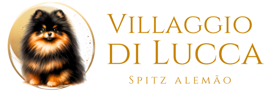 lulu-da-pomerania-conheça os filhotes do villaggio di lucca